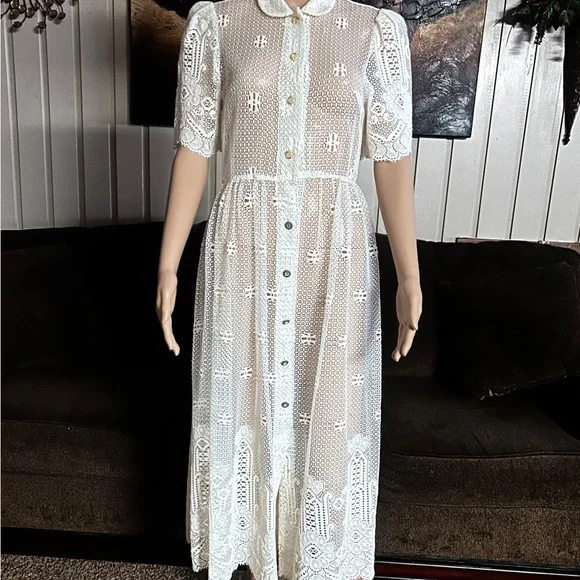 Vintage (1960’s) USA ~ Size 6 ~ Net Floral Lace Edwardian Embroidery Sexy Dress - Picture 5 of 16
